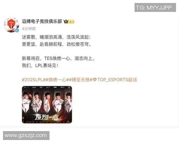 TES在S15世界大师赛中的拼搏之路与成长历程深度解析