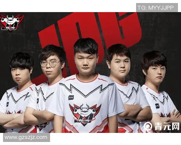 王者荣耀聚焦JDG战队节奏解析与战术探讨全方位剖析